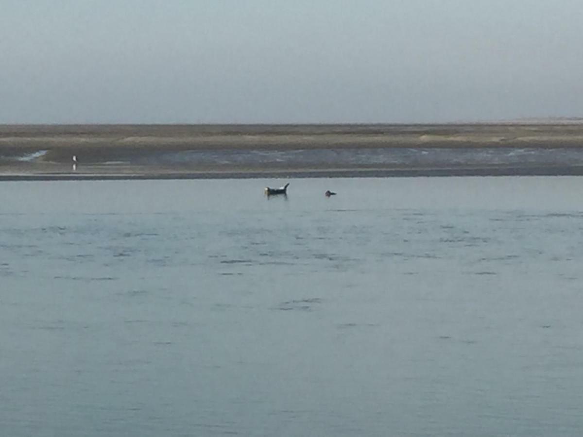 Appartement Baie De Somme, Cayeux Sur Mer, Villa Jacques Mathilde מראה חיצוני תמונה